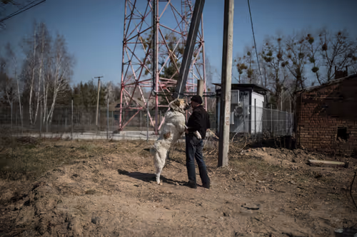 Item #4375115208171662398757709417791216617025009038077306019347163263461635391489 Media