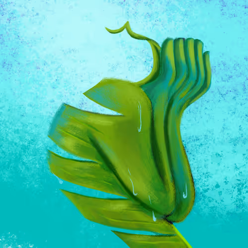 Item #39524845560291181314392557096034516208574426089498243364684842486099523665921 Media
