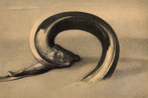 Item #19571591329902697817658778284801102658422189583404162753652400972881505288193 Media