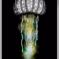 51297453693788132298669809830038636826071347270421607062891709963611806892033