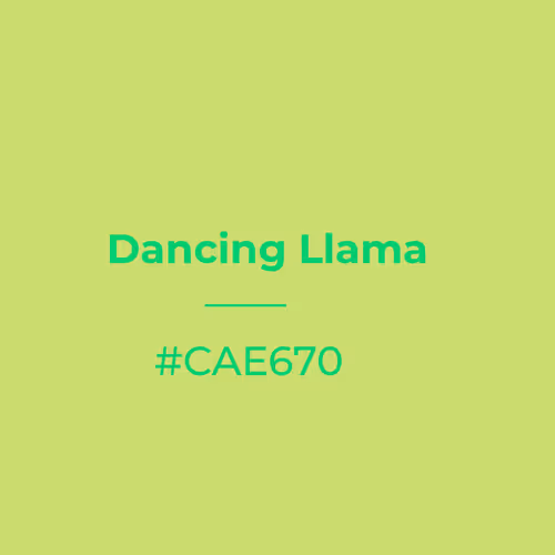 Dancing Llama #cae670