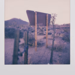 Wasteland, 2020