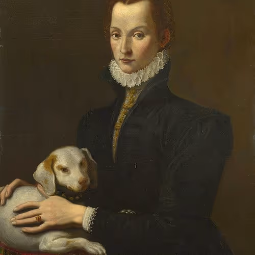 FriendlyNFTs Collection