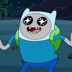 Finn the Human