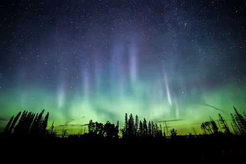 Item #37726056540758428475176204622414672838971825746317066475538999403391253217281 Media