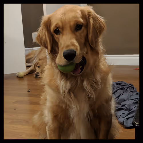 Item #106495276592435919470568425369488009874844936823784433162656833183062035529729 Media