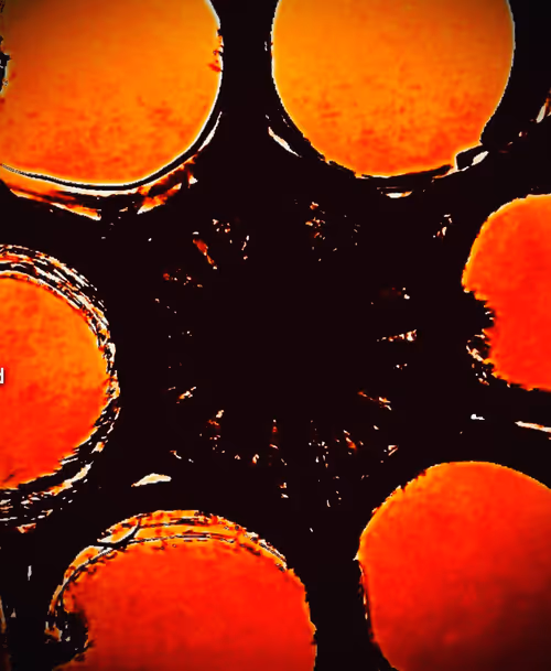 Item #79199631732045679610409293861376479058464126016282343108999058243783439155201 Media