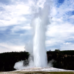 Old Faithful #009