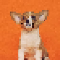 #0029 mydogcorgi2