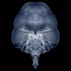 85859191866638808365331437874953228966785819470149775310971063417647017230337