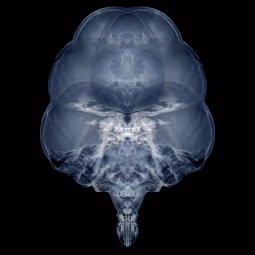 Item #85859191866638808365331437874953228966785819470149775310971063417647017230337 Media