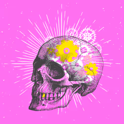 48464796124249850771290106539739105796658336187255943641253798813499450720257