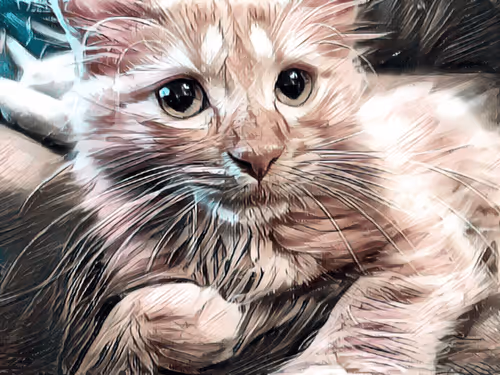 Item #70677597916389332091875359855925065117436584504780574341127713042286627520513 Media