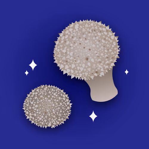 Item #53620360078498613901339183149326713416038543427946561370212888008607859212289 Media