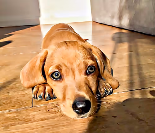 Item #69171513136825658998413868533540280471576915056326198060704683053721113853953 Media