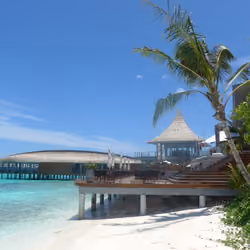 Maledives #43