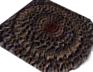 Worm hole
