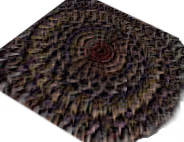 Item #29548495344563620470947150319700724648491971160658598390983237584734656659457 Media