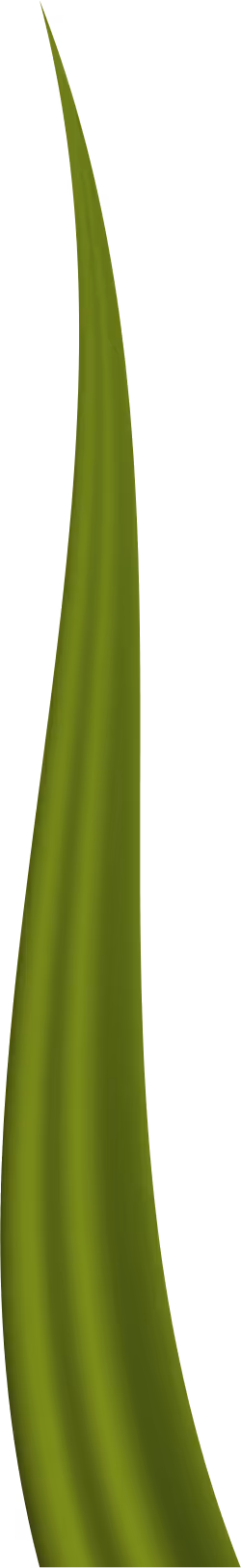 Item #78763235517899702300642317908544281341520076745003203023483945959823356461057 Media