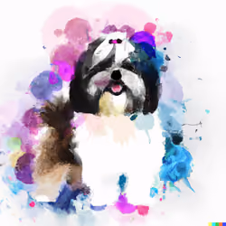 Shih tzu dog breed