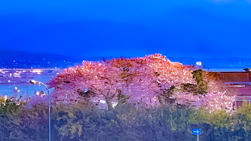 Item #26309083901545567454709889211670292098627789932924015051489478887707168997381 Media