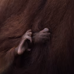 Holding On