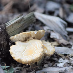 51124555051901614330264480006545612592022390906904121289505624531622399311873