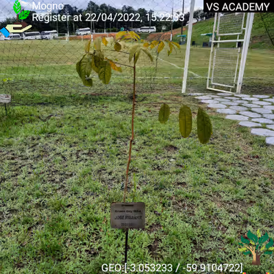 Item #8500196597889277390194123329501889087166328879864934763448348825915337211905 Media