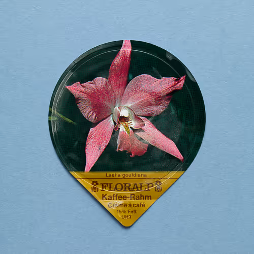 27065433399798513063572216385165001462181889982088416465869946567423755812865