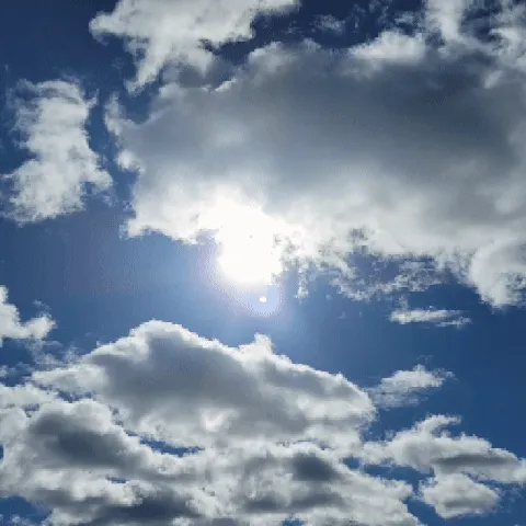 Item #110989330100556245645671416955261820038772575588316729466901671038430839046145 Media