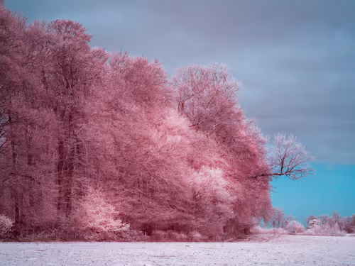 Item #105424874580272350249353180101820695324338341917620358577696675022331214561281 Media