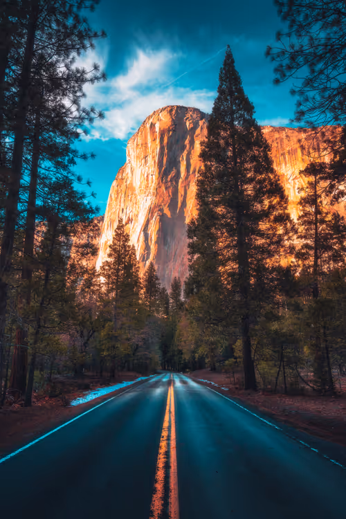 Item #62546128571173573861370652936856218284243546780344801453551937506922828136449 Media