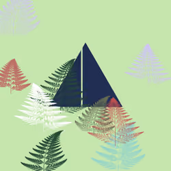 Fern Study 04