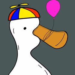 Kool Duck 23