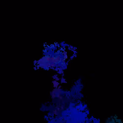 A0