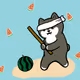 cool kuroshiba