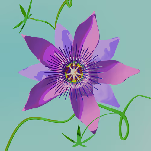 時計草-06/10-