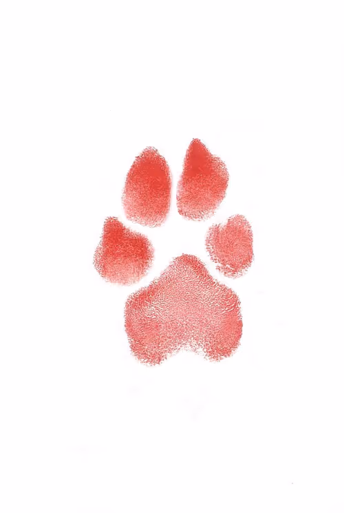 Item #40481407231732904655374063047966866419194828899490375932903912590993499619329 Media