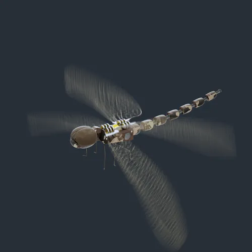 Item #59221695809999844932868241311026825972511777315967343673418626817837735346177 Media