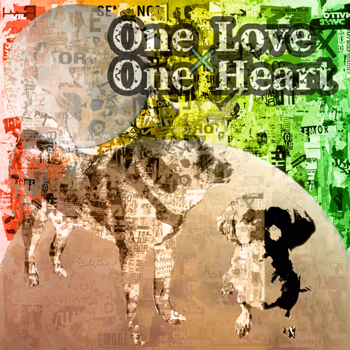 waonstagram_NFT Collection