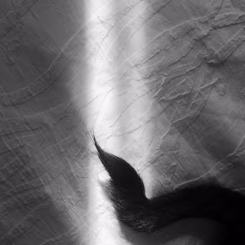 Item #56431751608181922231259635946092067407977788553703326303680802300855129735169 Media