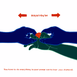 Pseudoscience no.02   “ You have to do everything in your power not to lose your diamond. “   ( Bi-D