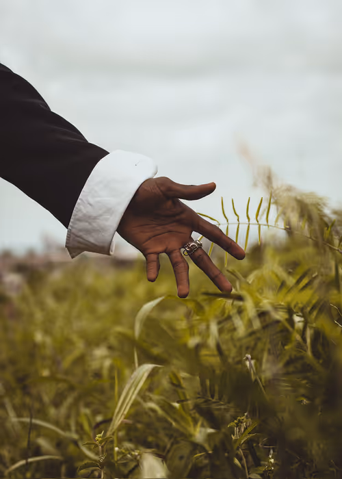 Item #51440113124645405295792315763072718845234254474436546036312618463082944921601 Media