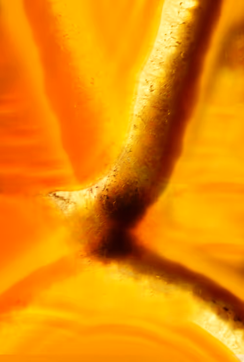 Item #86322865835249178422551085128691778807953829915868126837986678421694451810305 Media