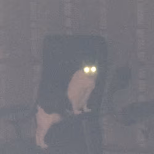 92783142183670148779523509575317469478567850605598829462236361891351778820116