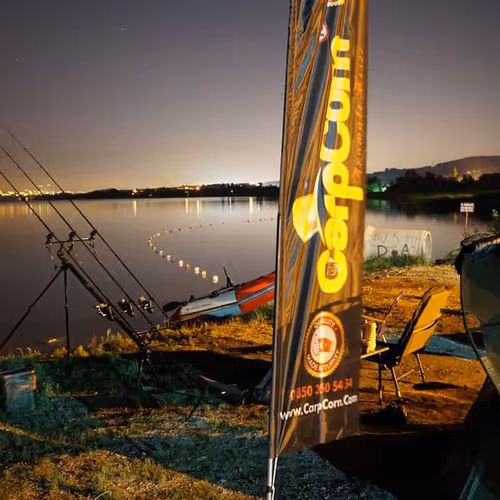 Untitled Collection #23207209