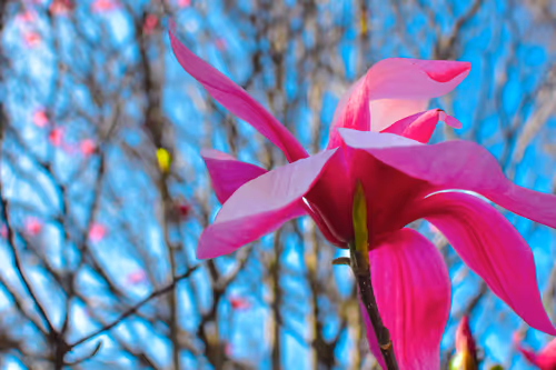 Item #4356313277186310688278388877259686636722187435374575515082253942334597103617 Media