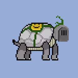 Turtle #067
