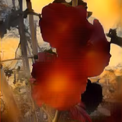  Flowers #31