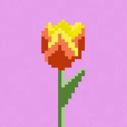 Tulip ver.4